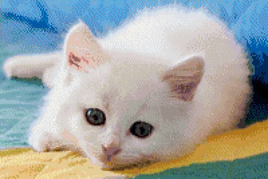 №698952 - предпросмотр