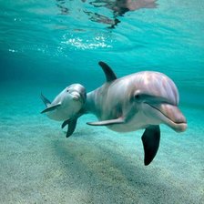 Схема вышивки «№698979»