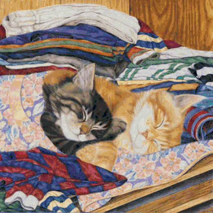 два сони - спящие, коты, котики - предпросмотр