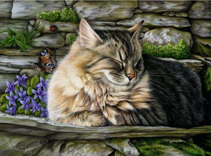 портрет красавчика - коты, котики, спящие, кот - оригинал