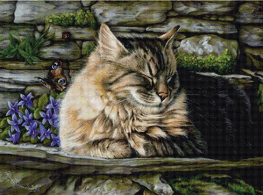 портрет красавчика - спящие, коты, кот, котики - предпросмотр