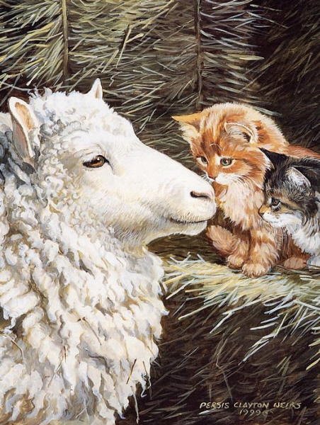 знакомство - животные, коты, котики - оригинал