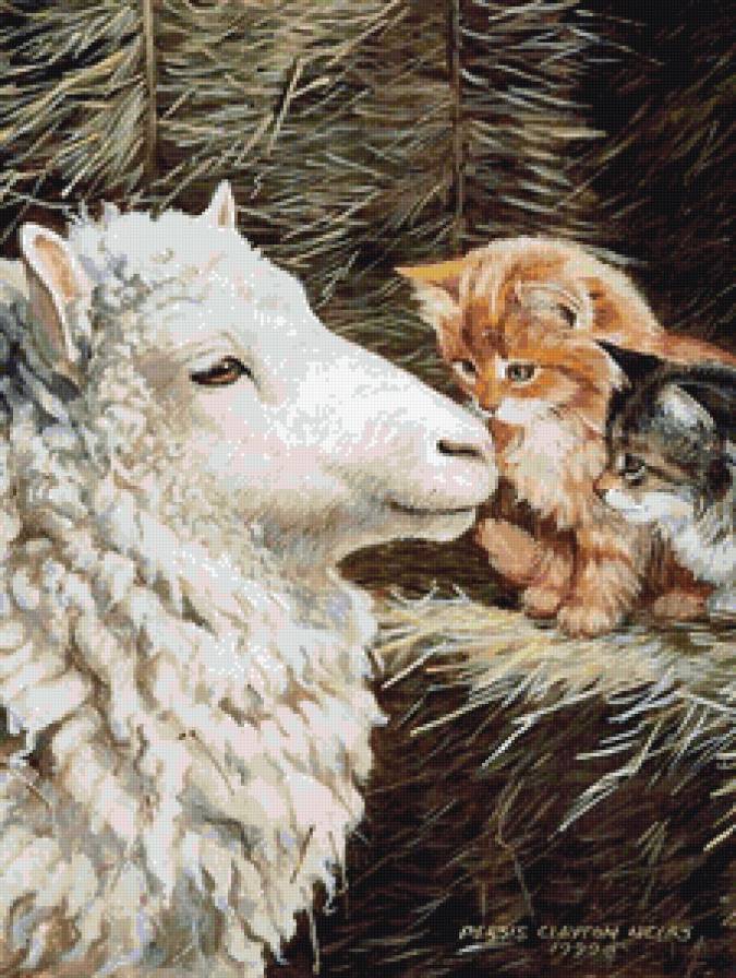 знакомство - животные, коты, котики - предпросмотр