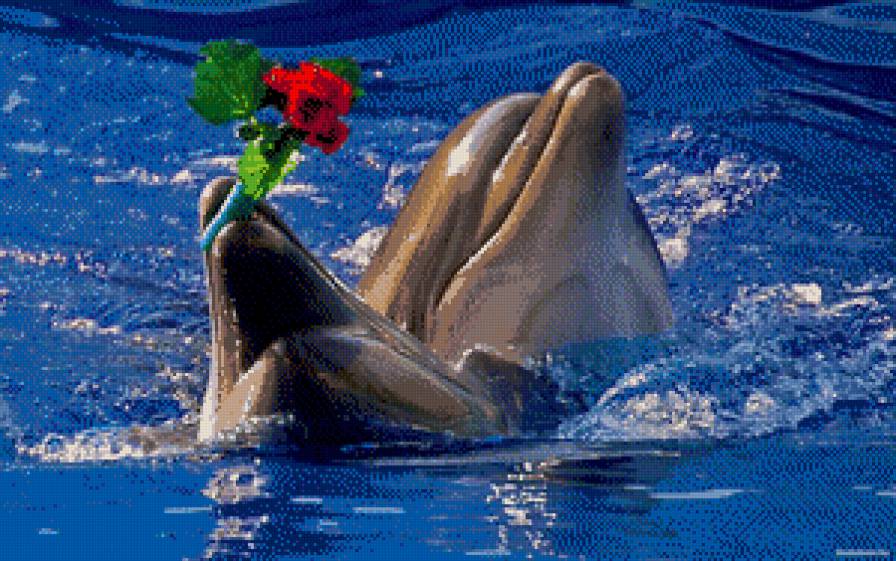 №699127 - предпросмотр