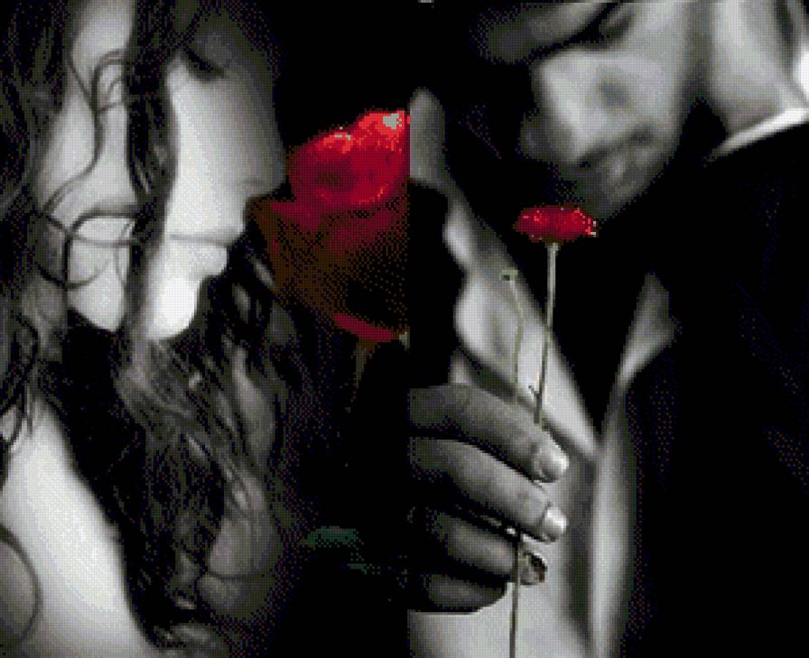 Кусочки счастья. - девушка, пара, цветок. - предпросмотр