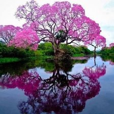 Схема вышивки «№699531»