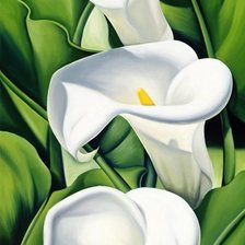 Схема вышивки «№699558»