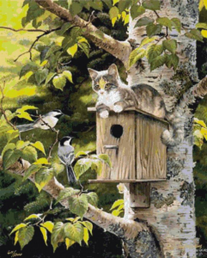 беседа - птицы, коты, котики, природа, кот - предпросмотр