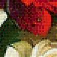 Предпросмотр схемы вышивки «Ромашки и розы» (№699742)