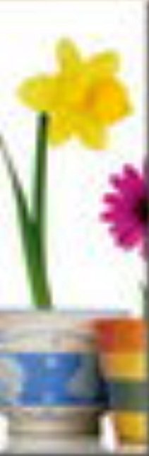 триптих - цветы, триптих - оригинал