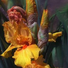 Схема вышивки «цветы»