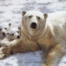Схема вышивки «Белая медведица и медвежата»
