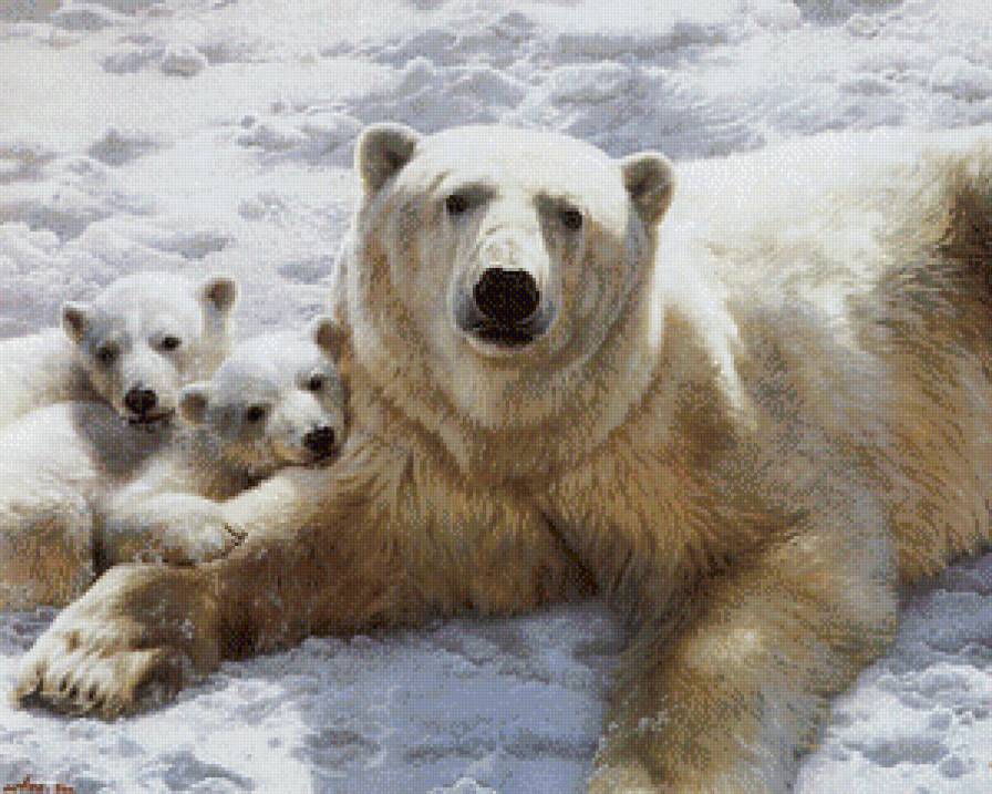 Белая медведица и медвежата - предпросмотр