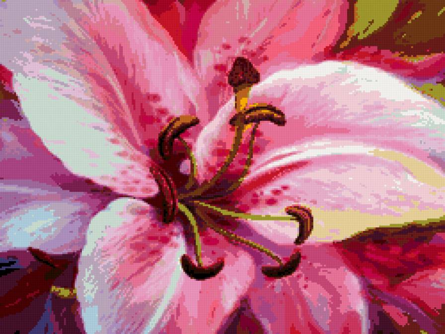 лилия - лилия, цветок - предпросмотр