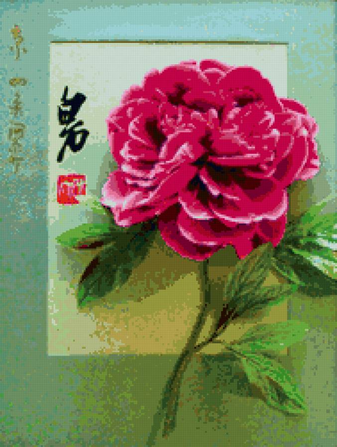 пион - китай, поин, цветок - предпросмотр