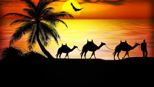 караван - пейзаж, животные, верблюд, силует, закат, караван, верблюды - оригинал