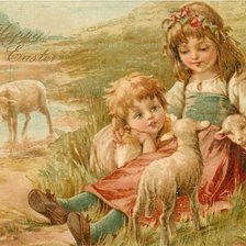 Дети и овечки