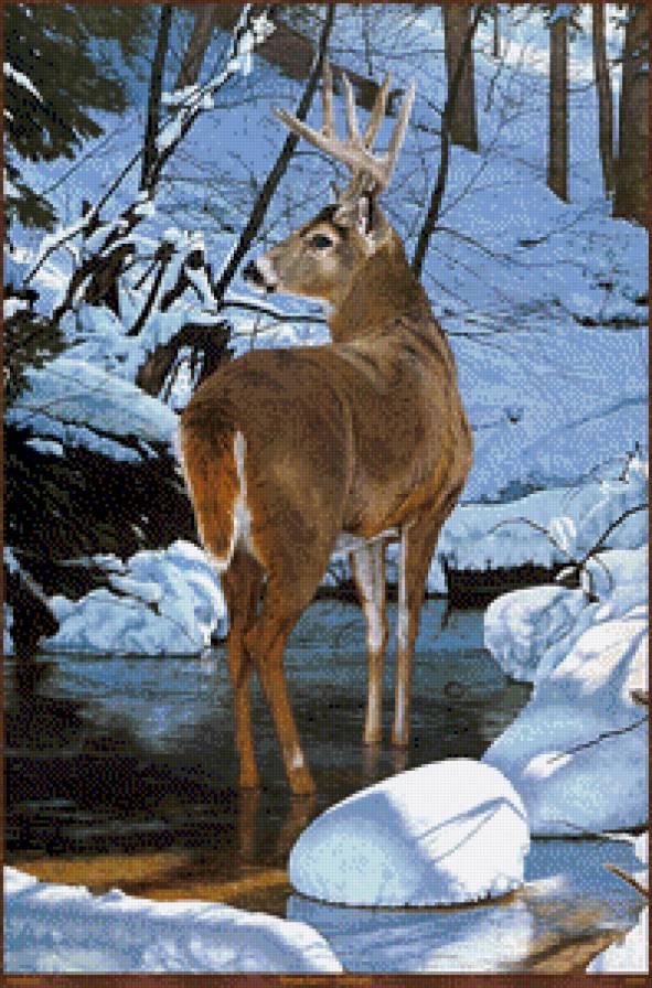 Олень зимой - предпросмотр