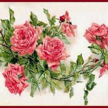 Схема вышивки «розы»