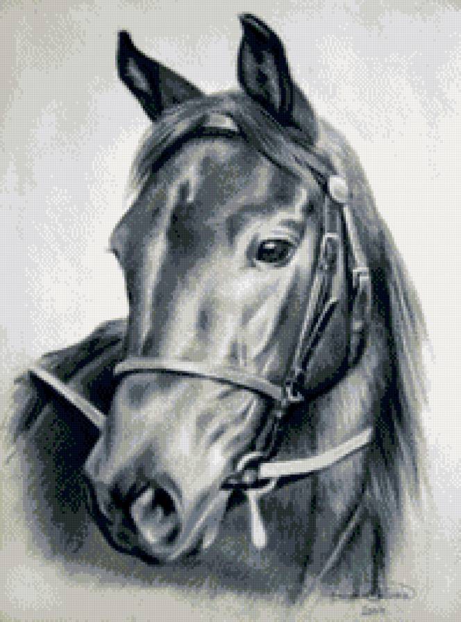 №700465 - предпросмотр