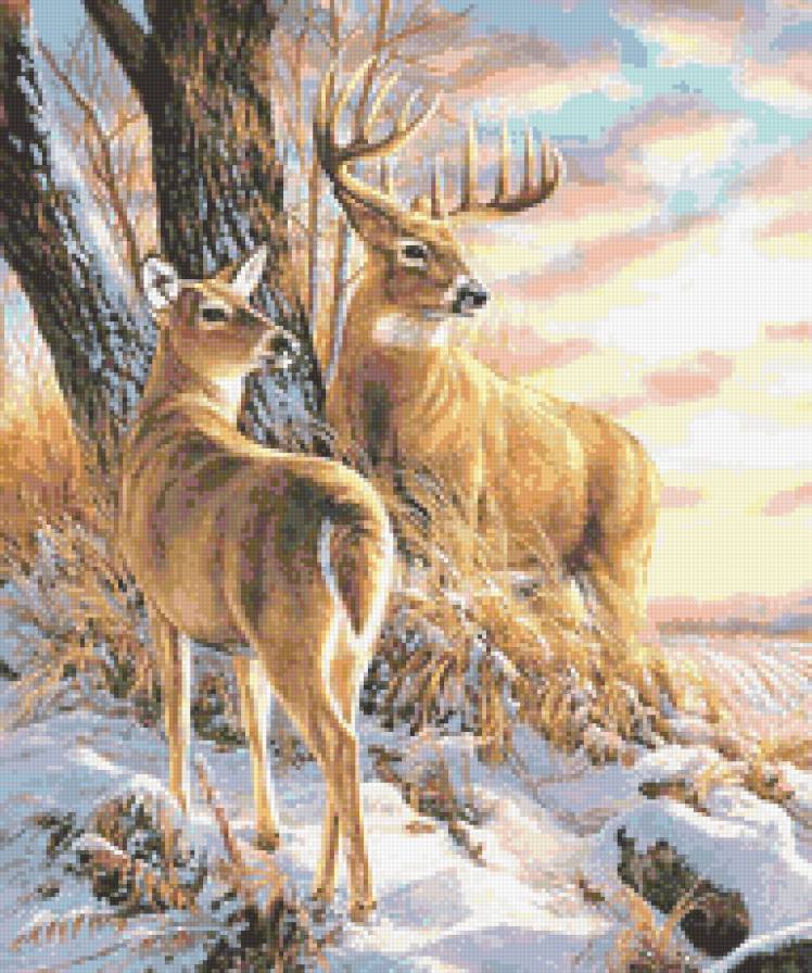 Зимовка олений - в лесу, олени, животные, олень - предпросмотр