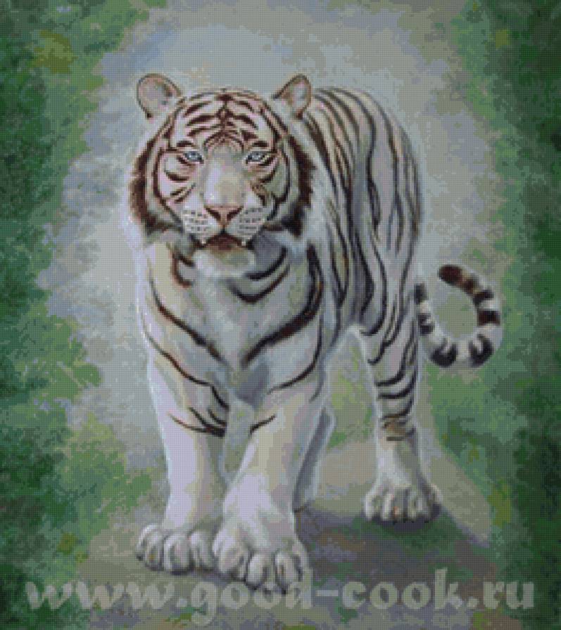 белый тигр - предпросмотр