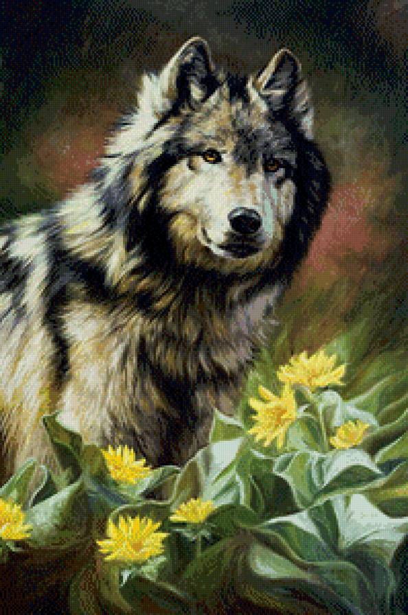 2565 - предпросмотр