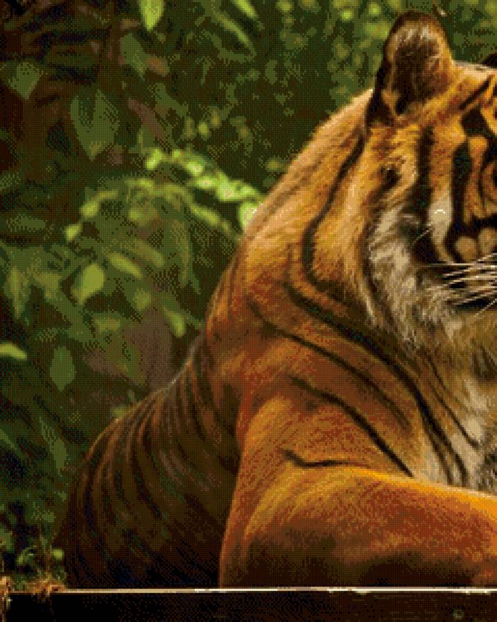 Тигр Часть 1 - предпросмотр