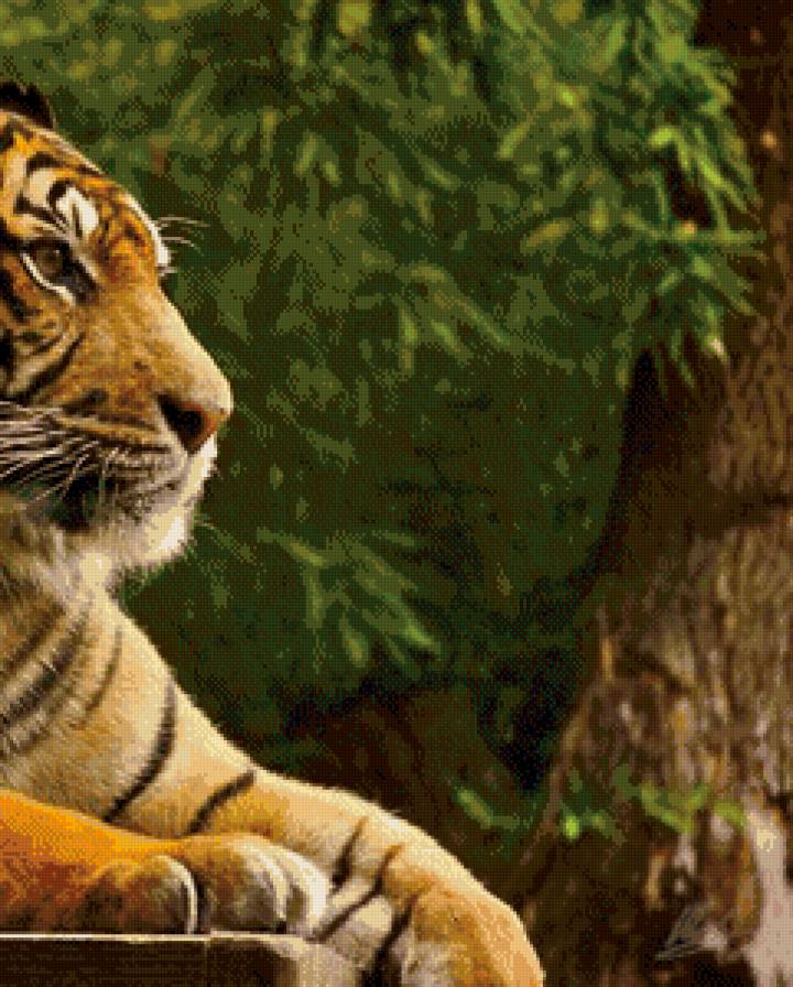 Тигр Часть 2 - предпросмотр