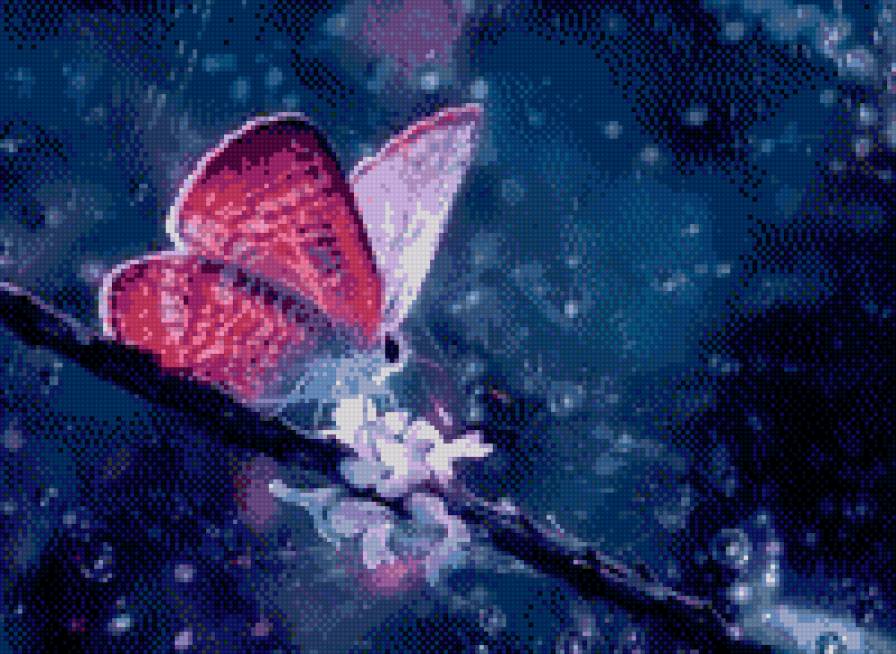 Бабочки - бабочки - предпросмотр