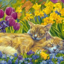 Схема вышивки «2571»