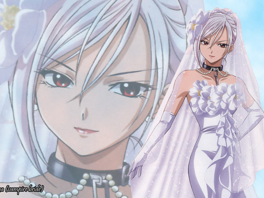 Розарио + Вампир - оригинал