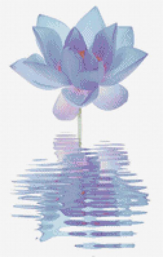 Лотос - предпросмотр