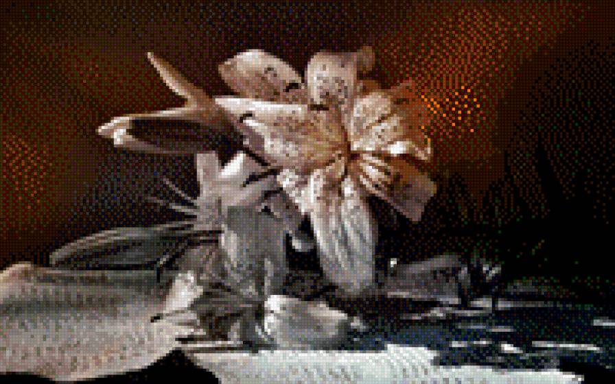 №700997 - лилии, натюрморт, лилия, цветы - предпросмотр