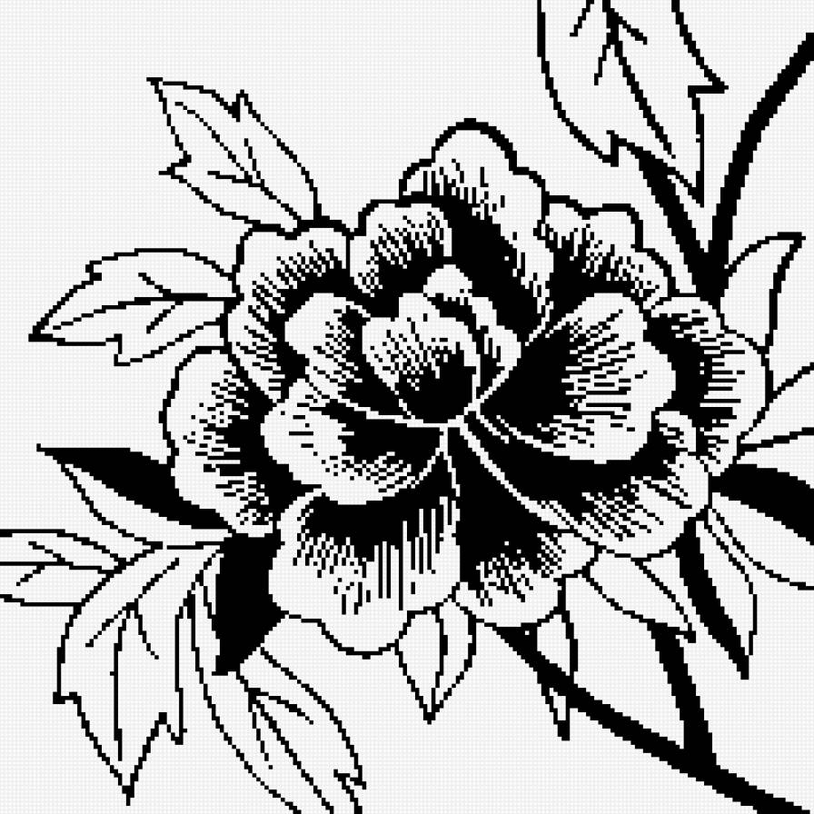 цветок для подушки - цветы, цветок, монохром, подушка - предпросмотр