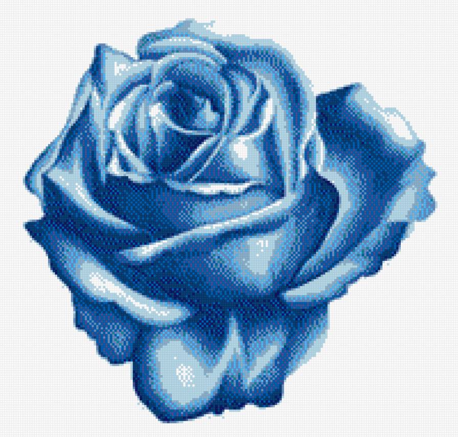 роза - предпросмотр