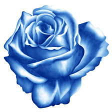 Схема вышивки «роза»