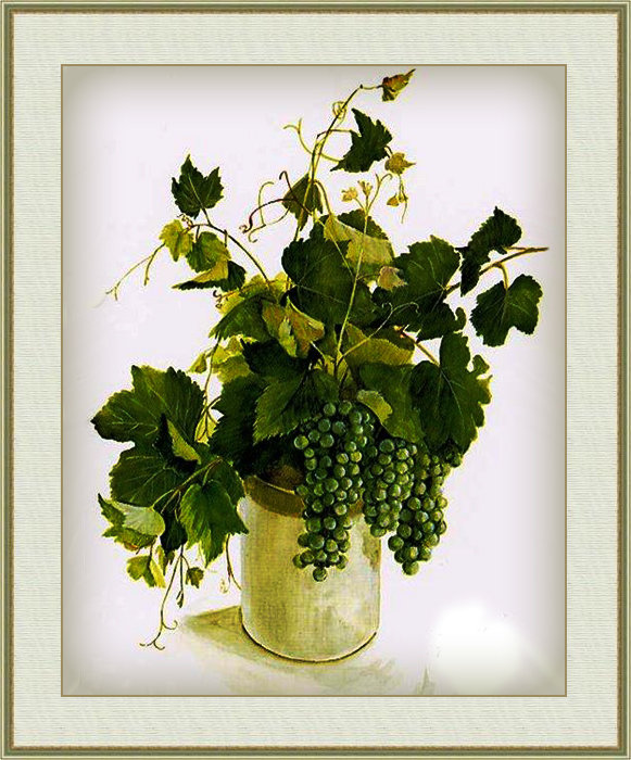 Акварель 15 - виноград, цветы, натюрморт - оригинал