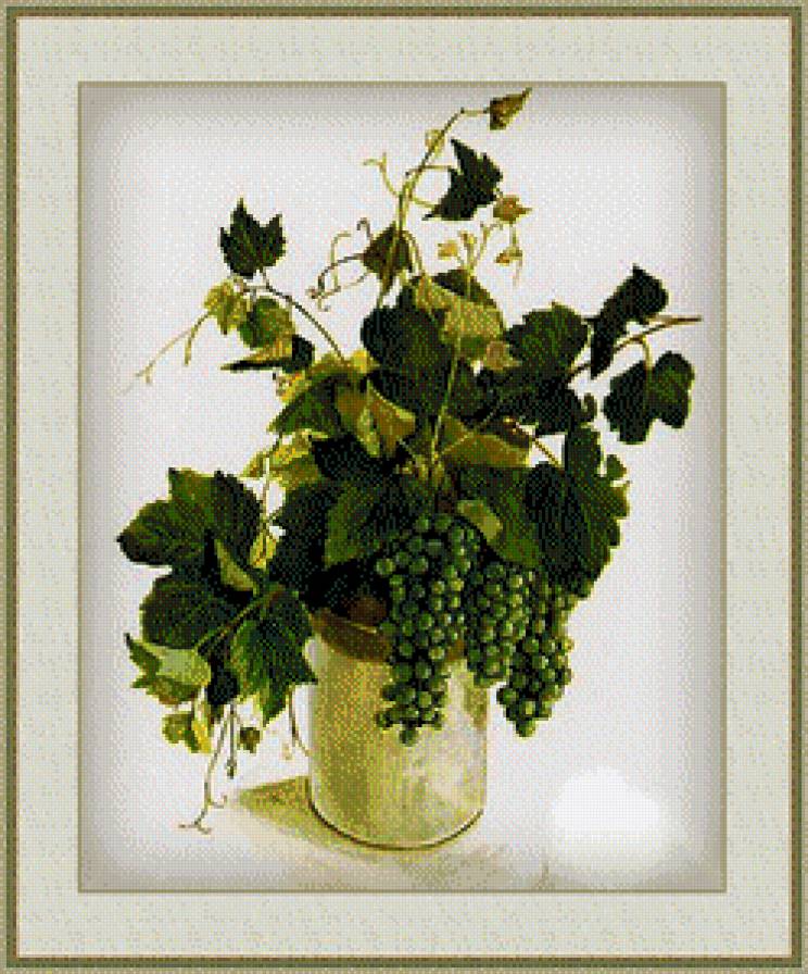 Акварель 15 - натюрморт, виноград, цветы - предпросмотр