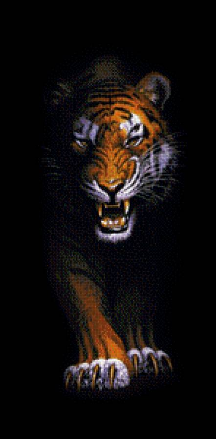 Тигр - тигр - предпросмотр