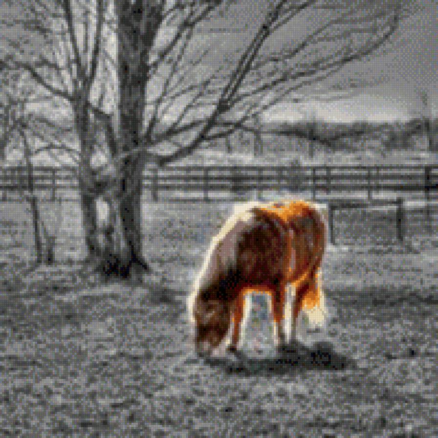 Рыжий конь - пейзаж, деревня, лошадь - предпросмотр