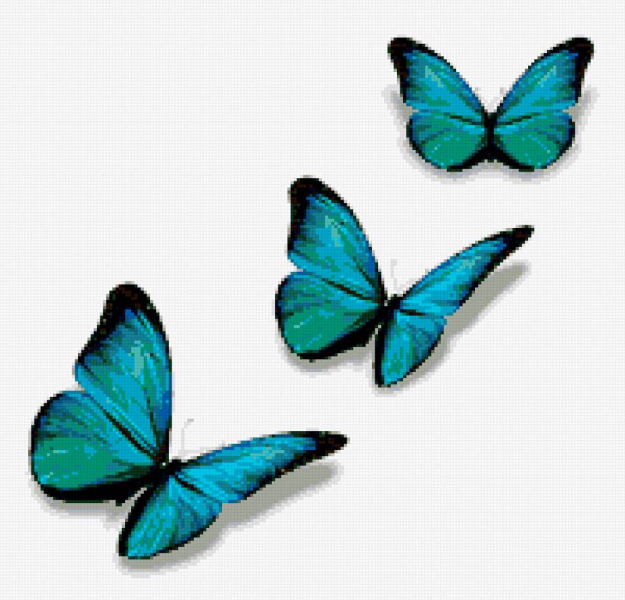 Бабочки - бабочки - предпросмотр