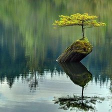 Схема вышивки «одиночество»