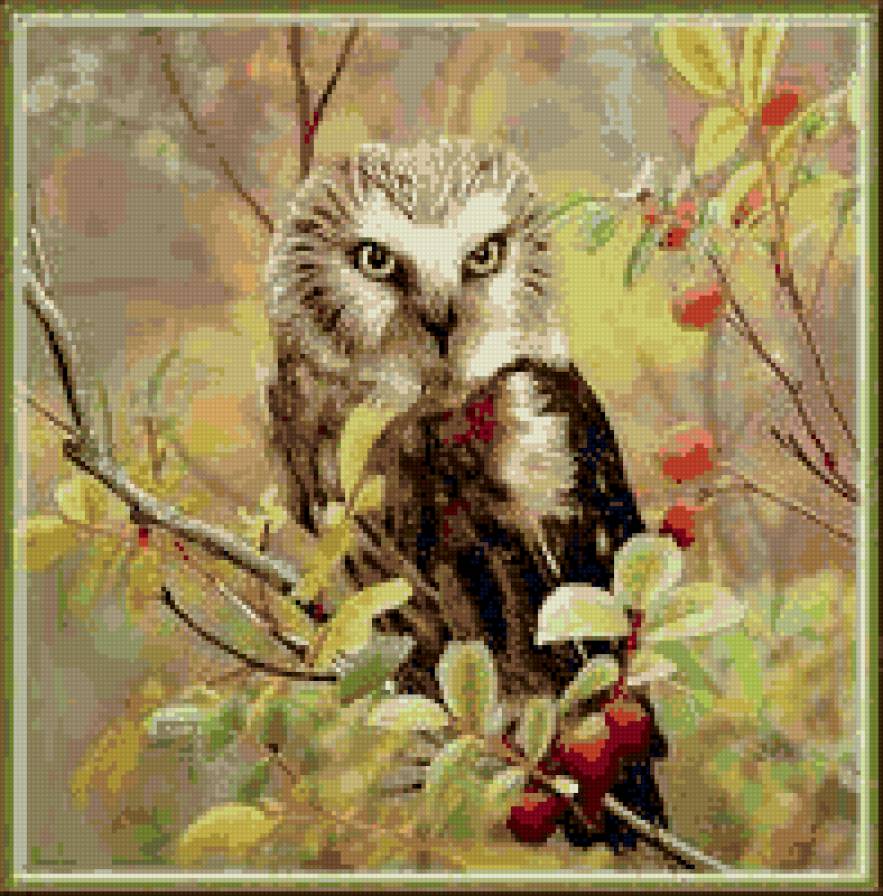 сова - птицы, сова, осень - предпросмотр