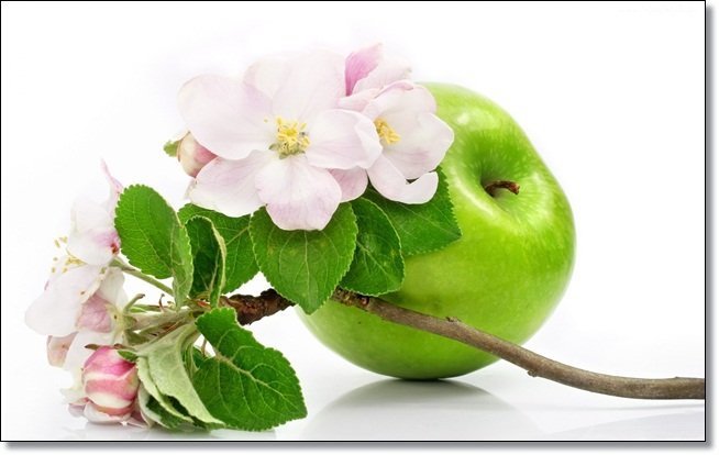 зеленое яблоко - оригинал