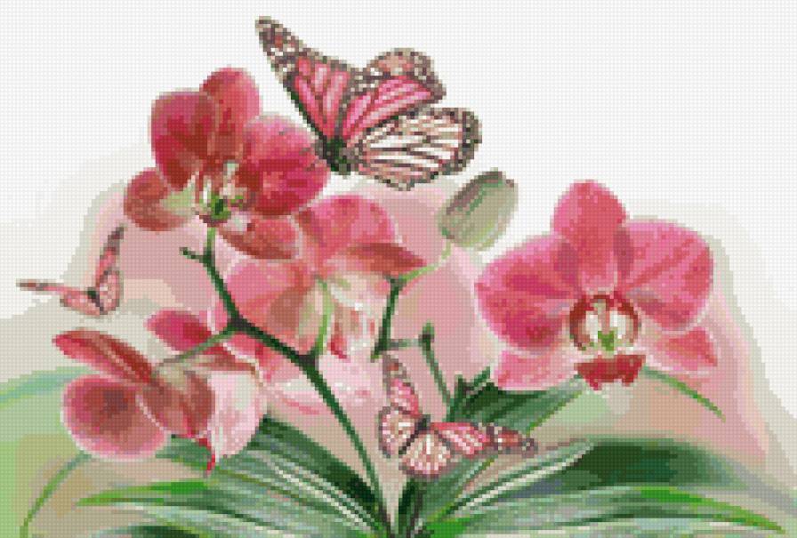 №701641 - бабочки, цветы - предпросмотр