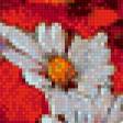 Предпросмотр схемы вышивки «полевые цветы» (№701956)
