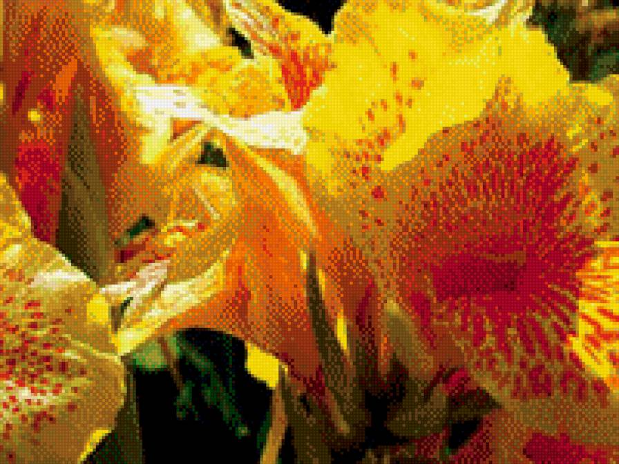 цветы - предпросмотр