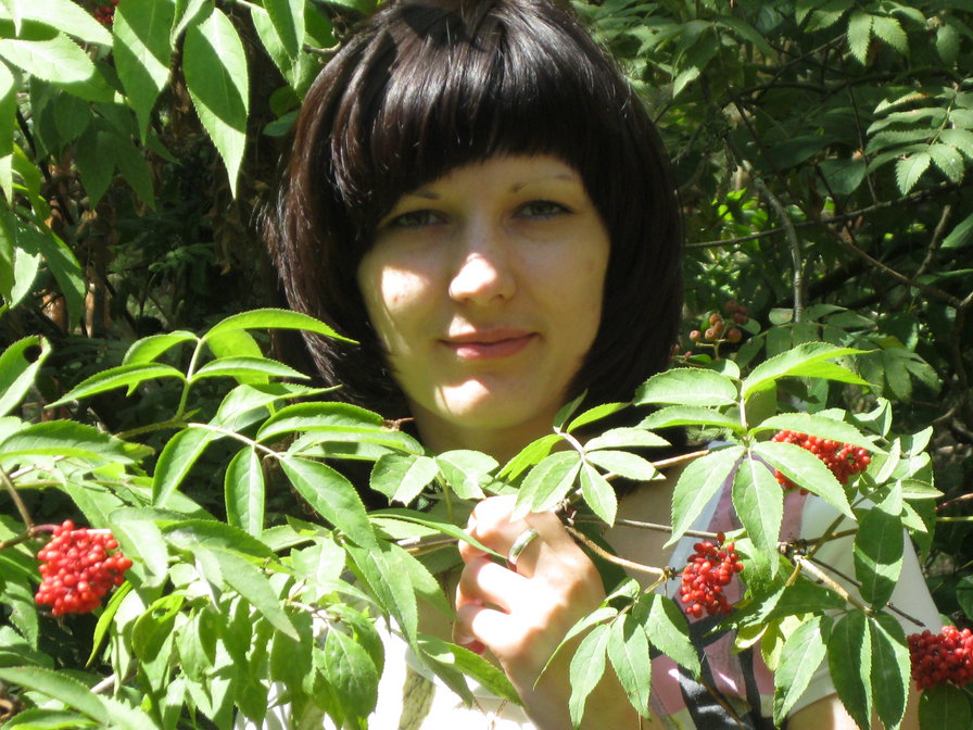 лес - оригинал