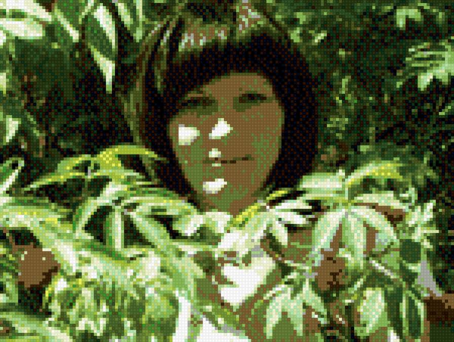 лес - предпросмотр